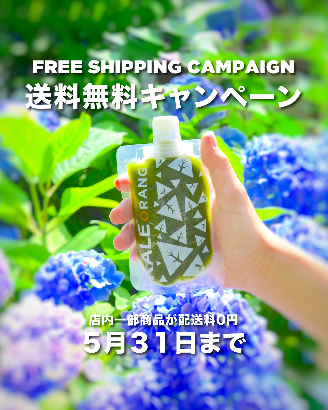 【Campaign】5月31日まで！送料無料キャンペーン